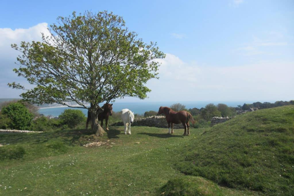 225 Buttercup Swanage Bay View - Vacation Home Ngoại thất bức ảnh